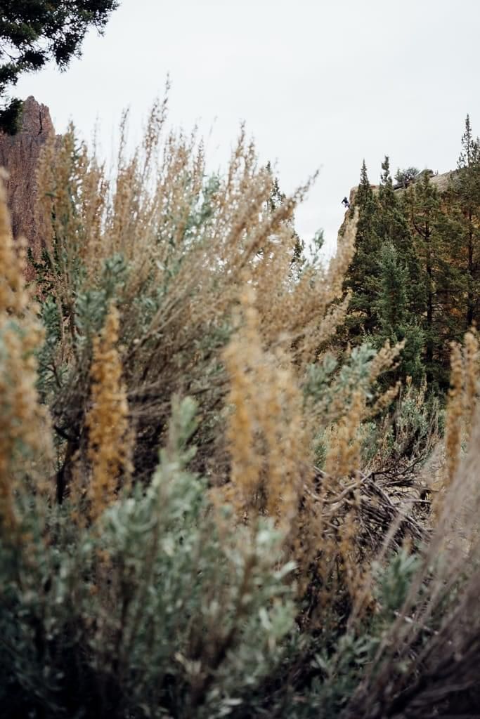 Incorporate natural elements..