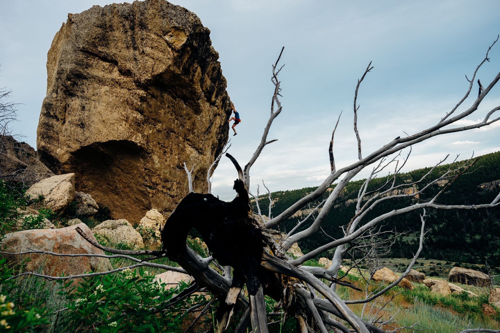 Climbing 39