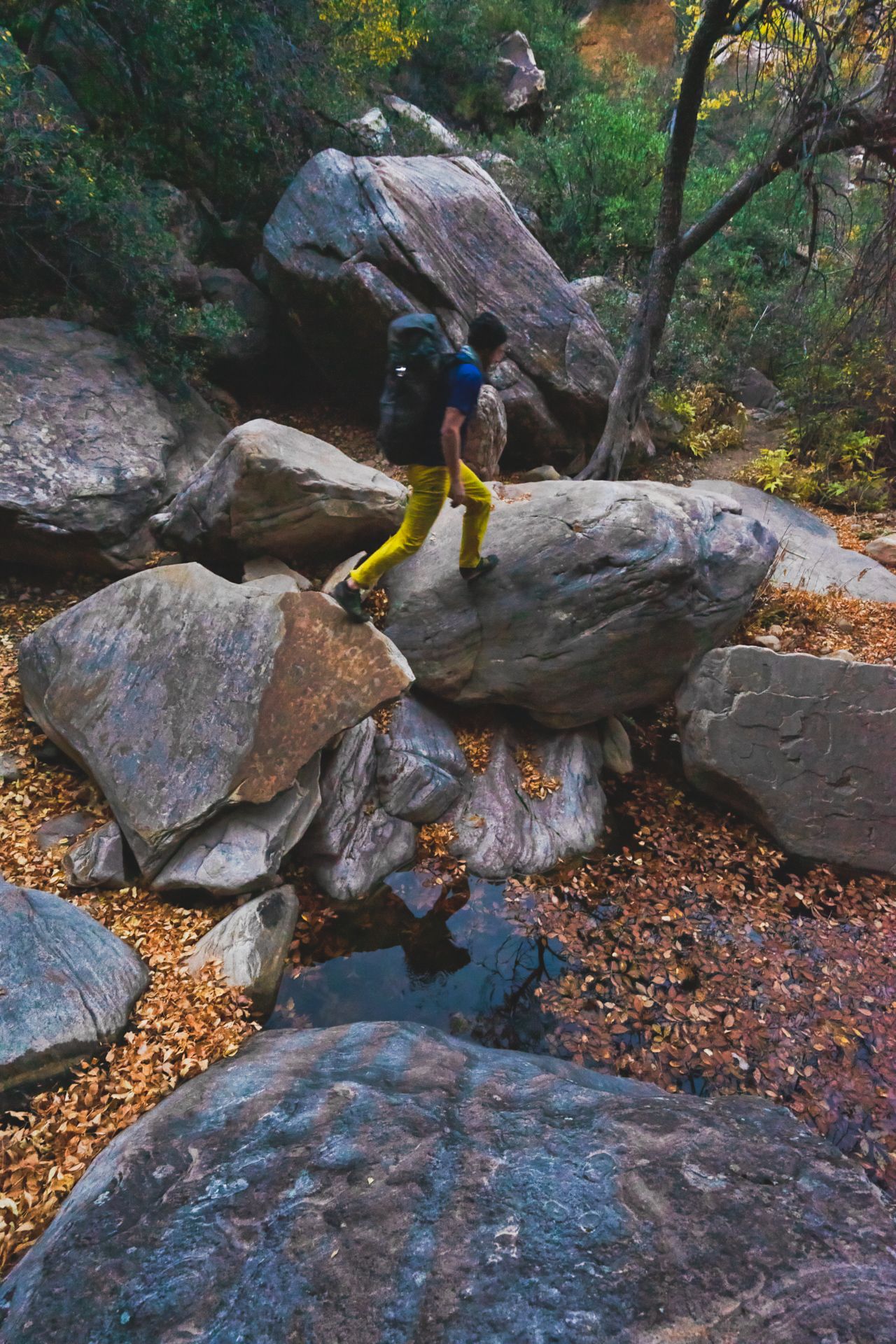 Climbing 42