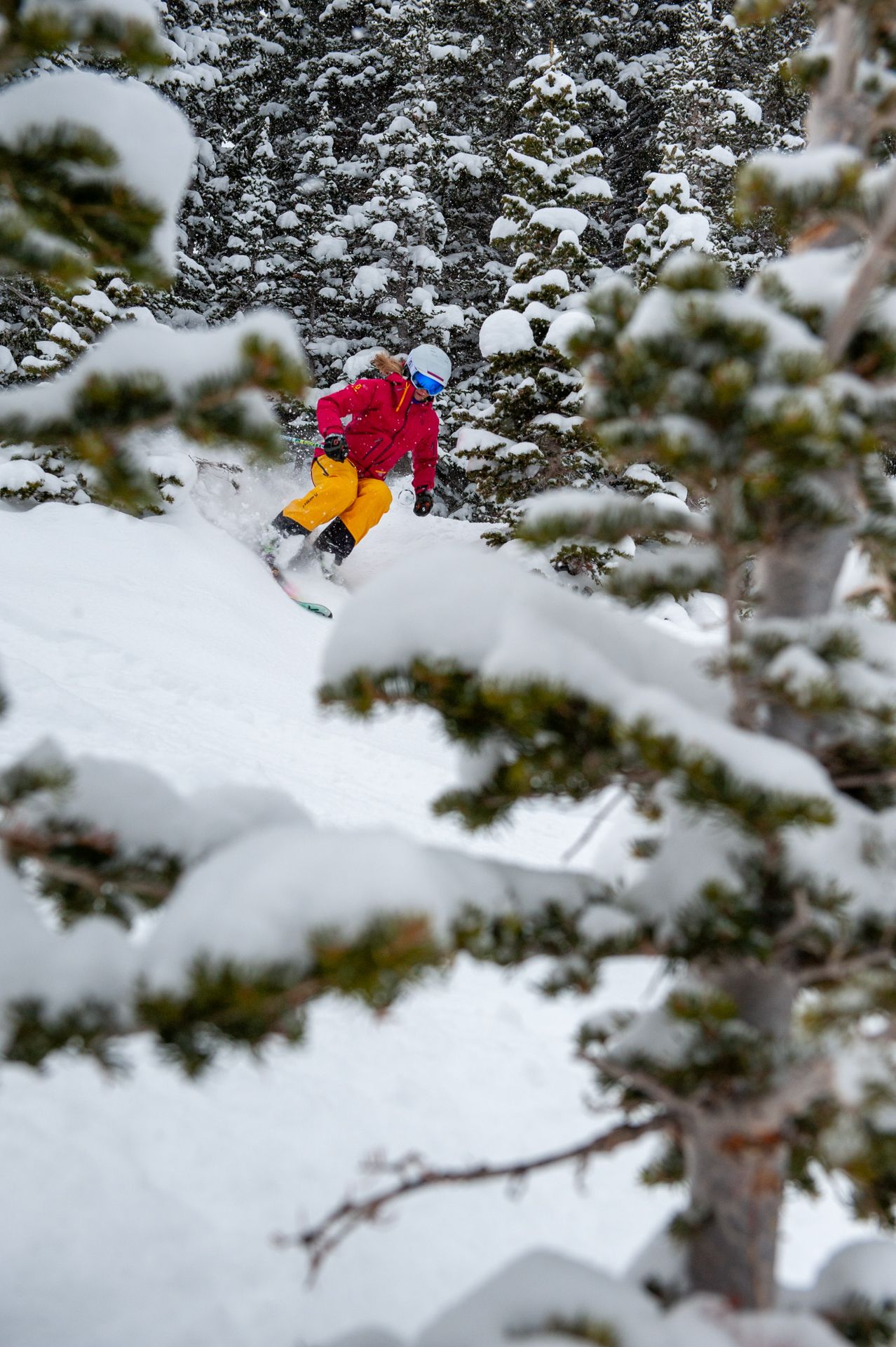 Winter 10