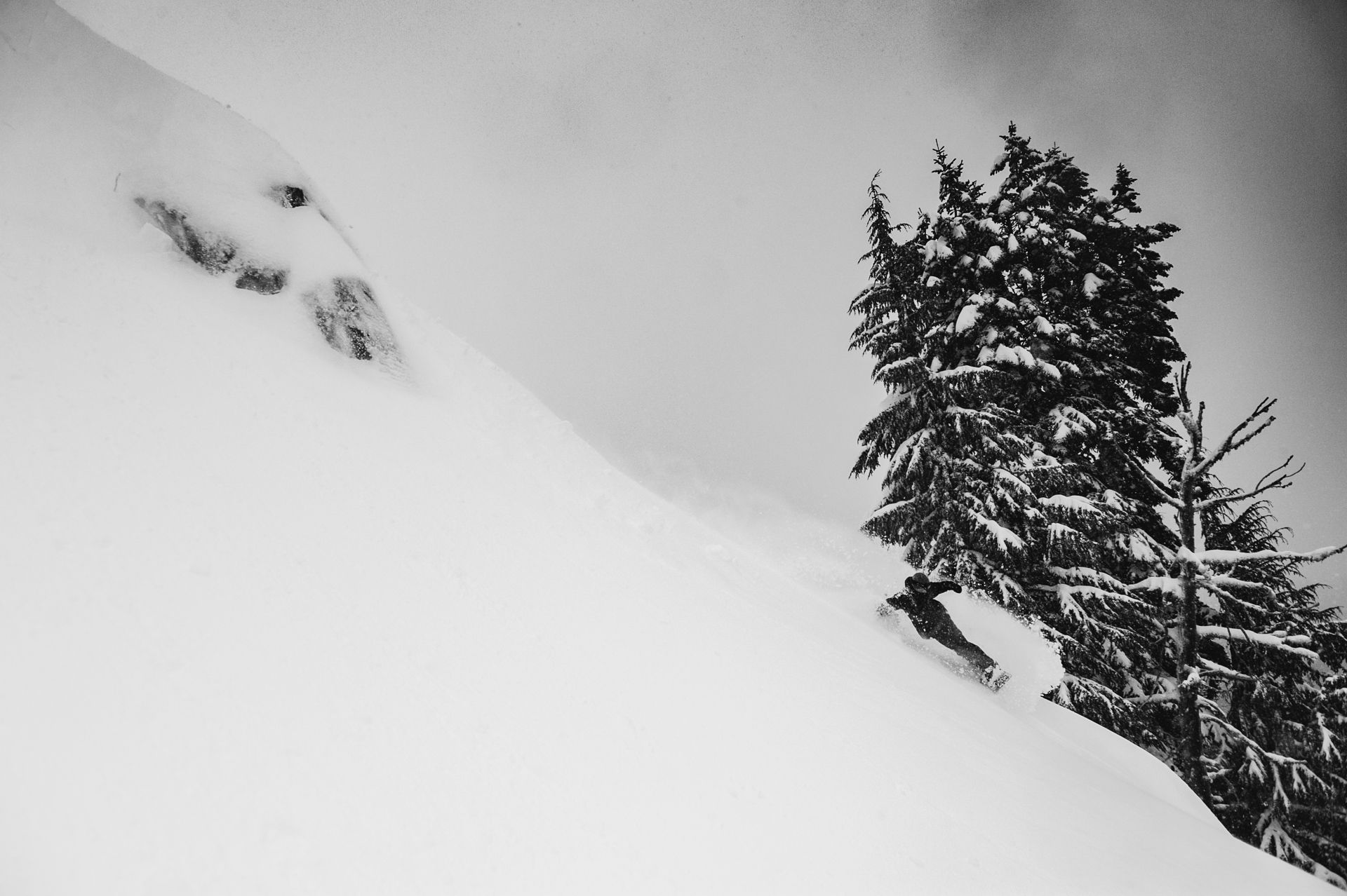 Winter 19