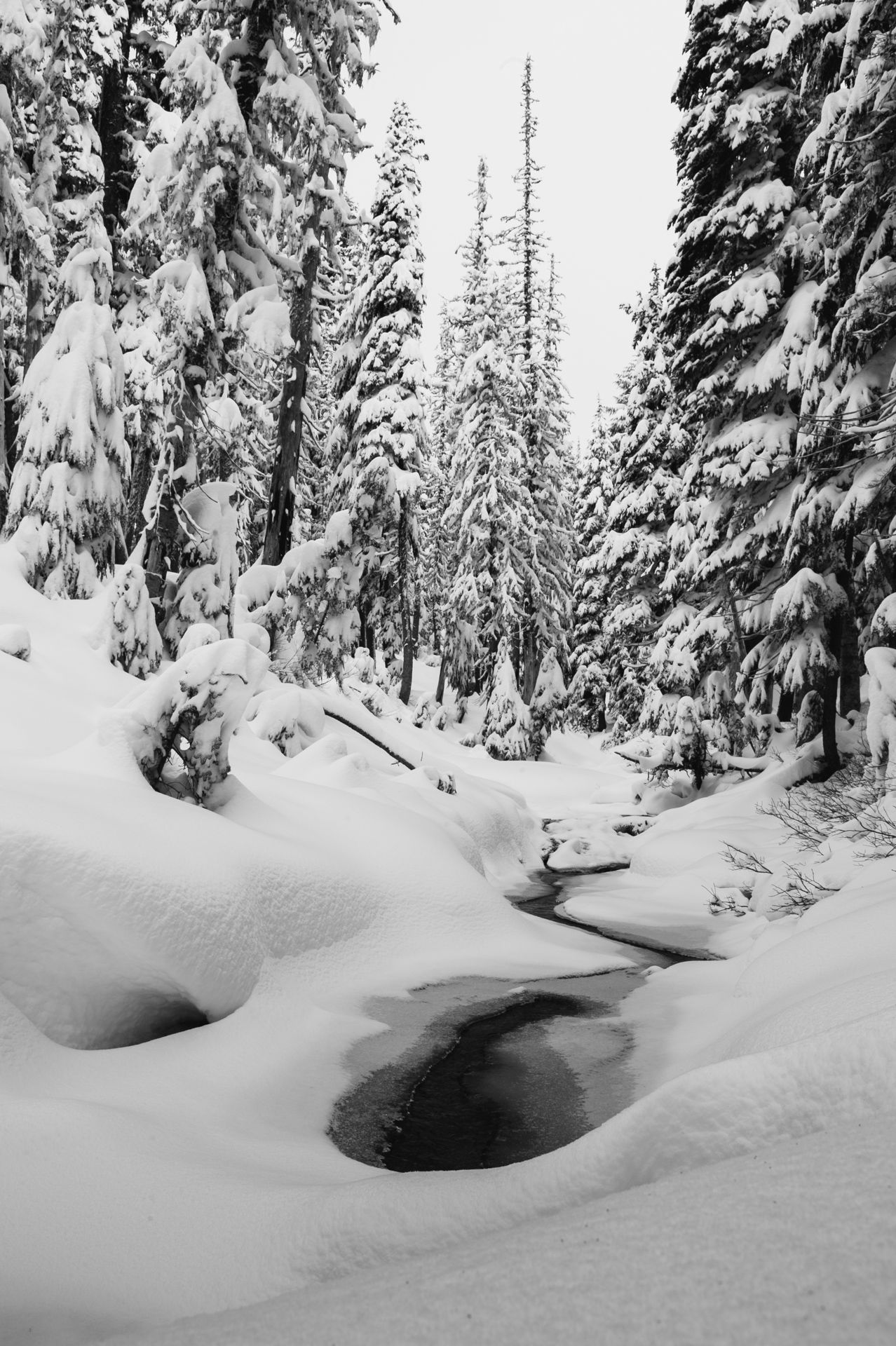 Winter 2