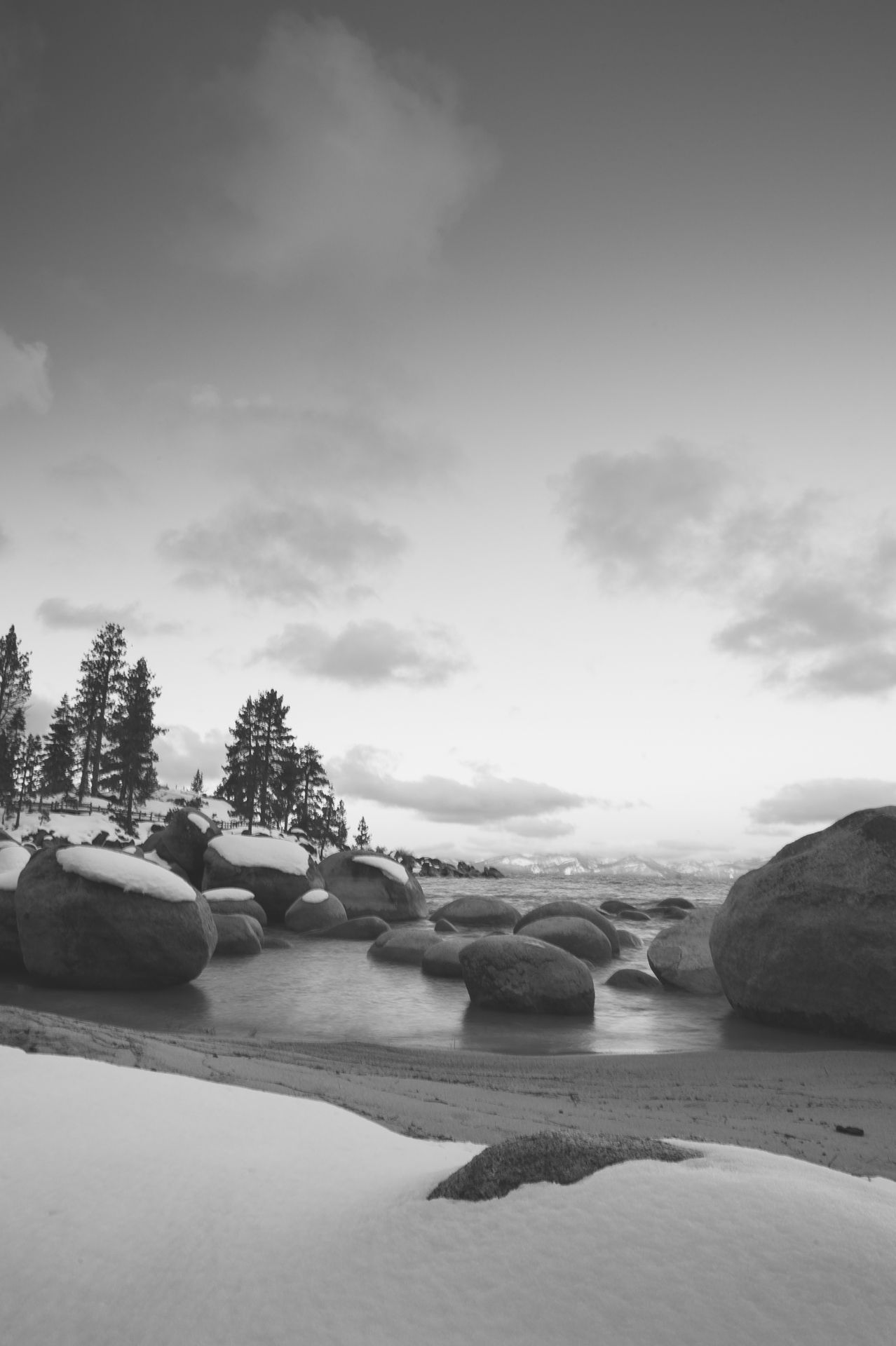 Winter 3